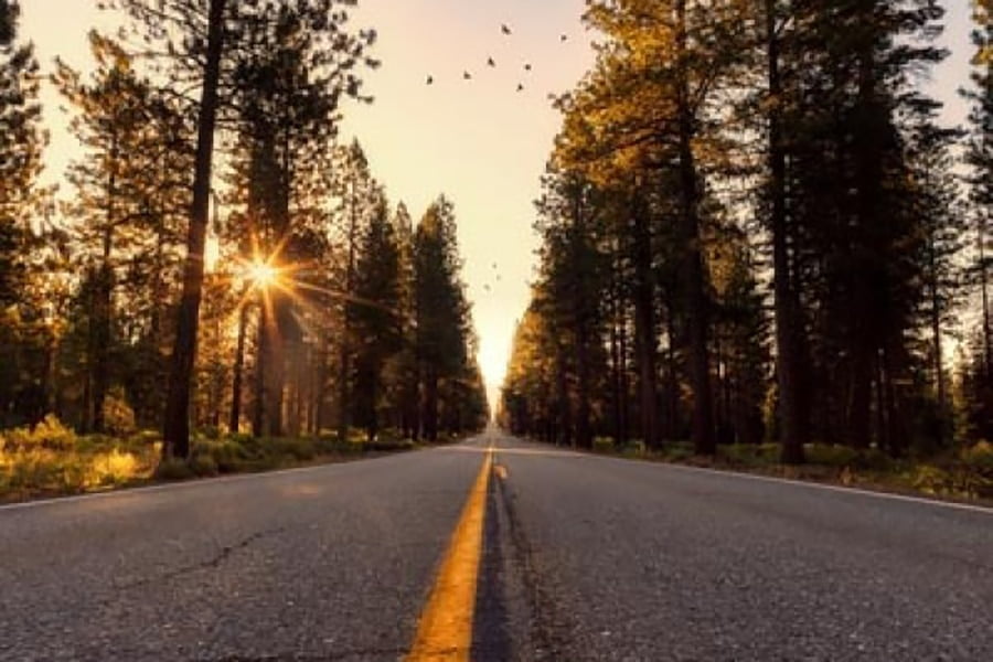 Hur blir du en morgonlöpare?